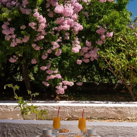 Pericles Hotell Kefalonia Island